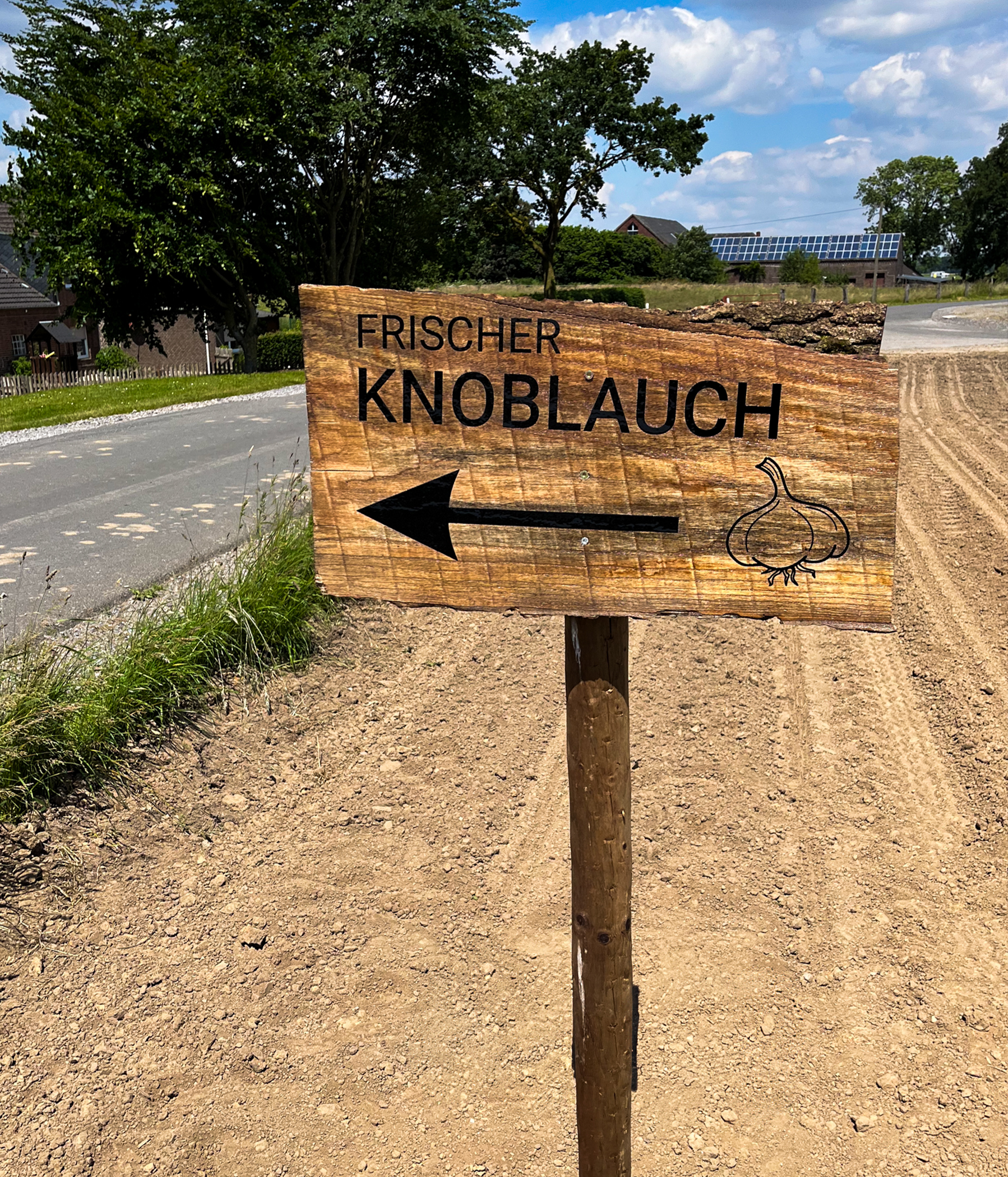 Schild